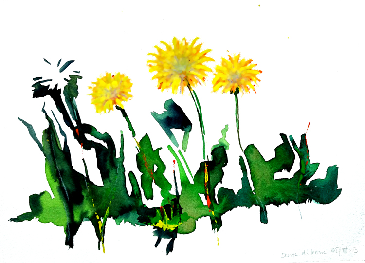 2014_Dente_di_Leone_750x540